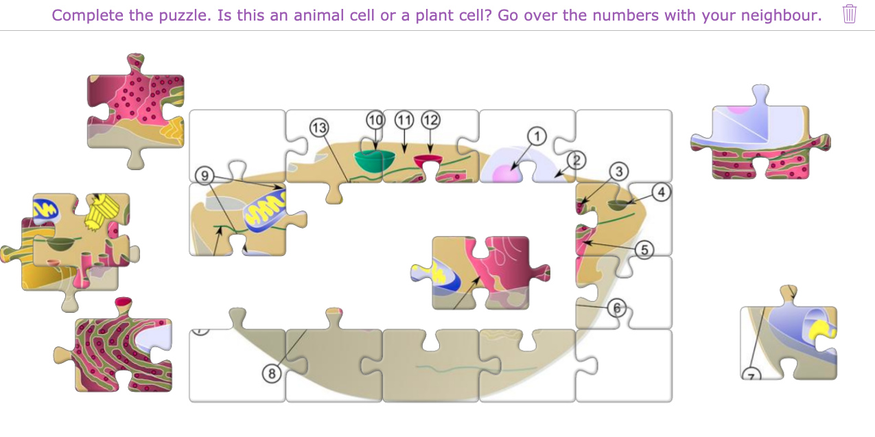 Jigsaw puzzles in biology lessons - Cell structure