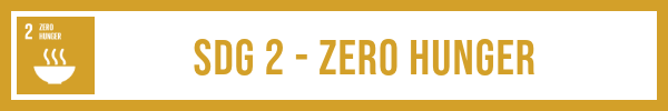 SDG 2 zero hunger lesson plan