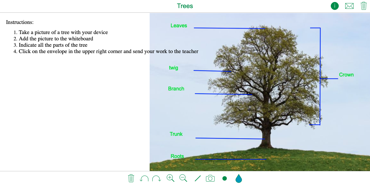 Outdoor Lesson ideas