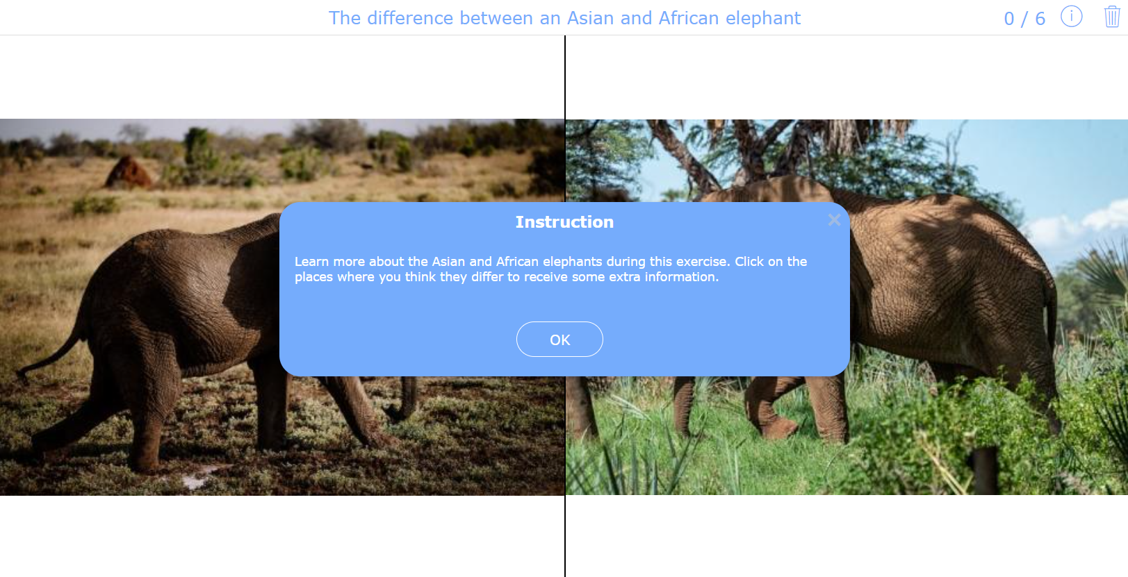 Difference between an Asian and African elephant