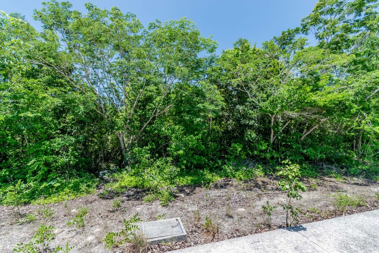 Lote Exclusivo en Venta en Cancún Country Club