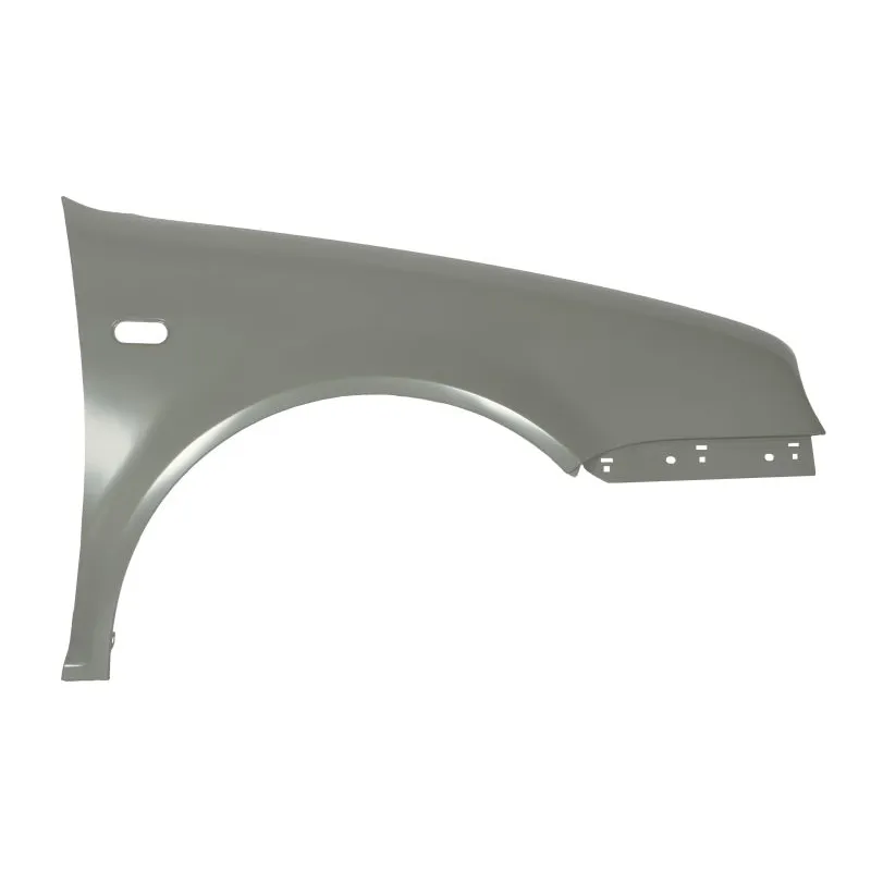 Błotnik VW GOLF IV (1J1)