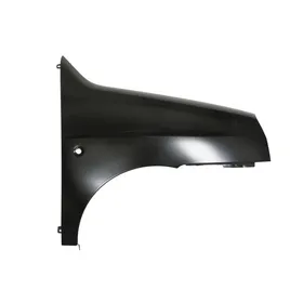 Błotnik FIAT DOBLO nadwozie wielkoprzestrzenne (MPV) (119_, 223_)