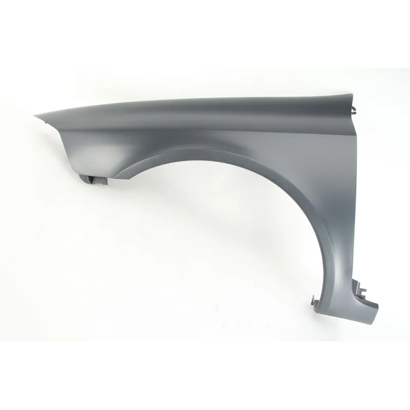 Błotnik RENAULT LAGUNA II Grandtour (KG0/1_)