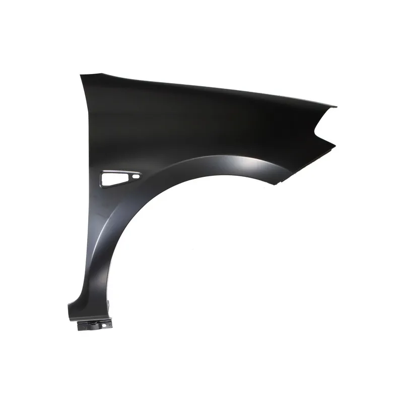 Błotnik RENAULT THALIA II (LU_)