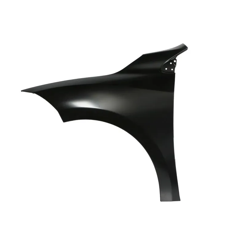 Błotnik RENAULT MEGANE III Grandtour (KZ0/1)