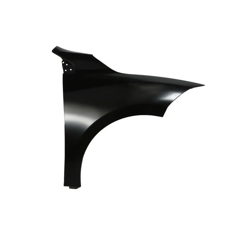 Błotnik RENAULT MEGANE III Grandtour (KZ0/1)