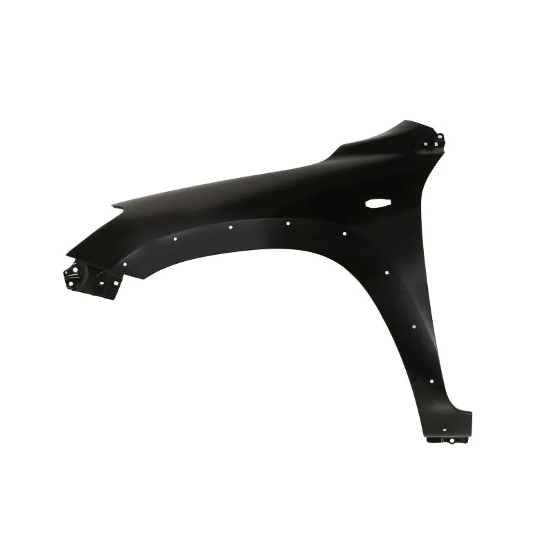 Błotnik TOYOTA RAV 4 III (_A3_)