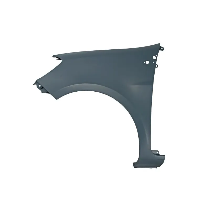 Błotnik RENAULT CLIO III (BR0/1, CR0/1)