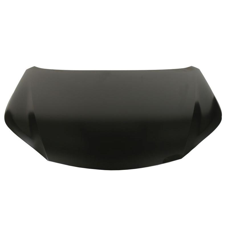 Pokrywa silnika LEXUS NX (_Z1_)