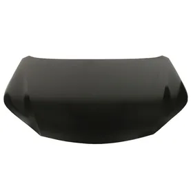 Pokrywa silnika LEXUS NX (_Z1_)