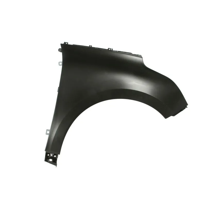 Błotnik RENAULT GRAND SCENIC IV (R9_)