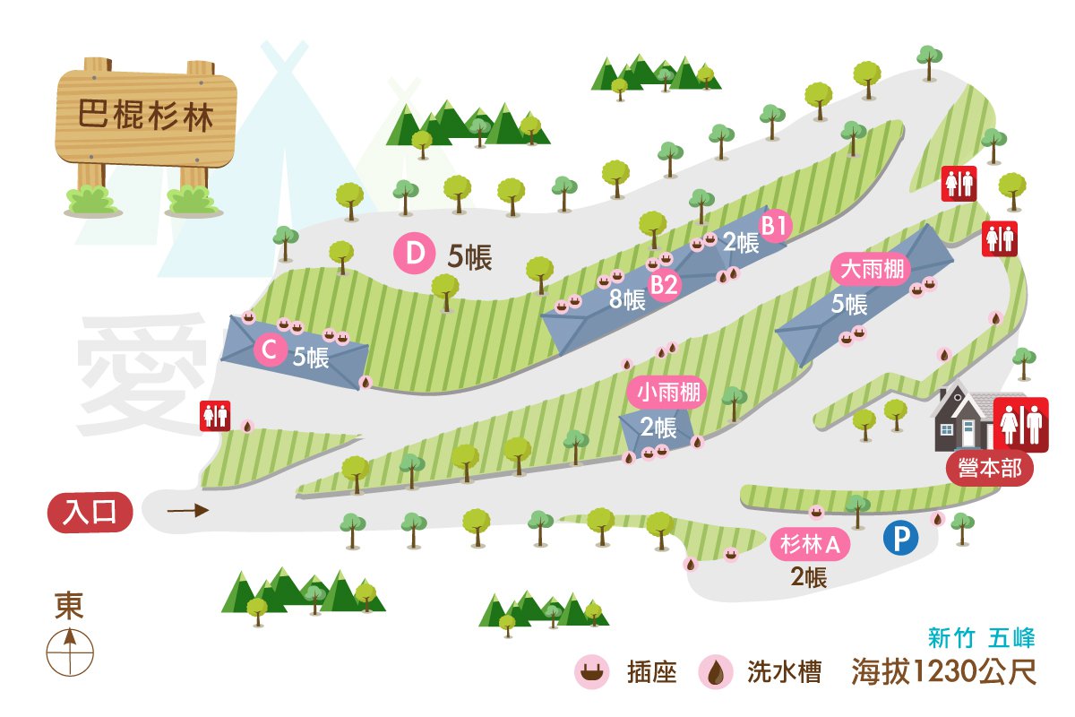 巴棍杉林