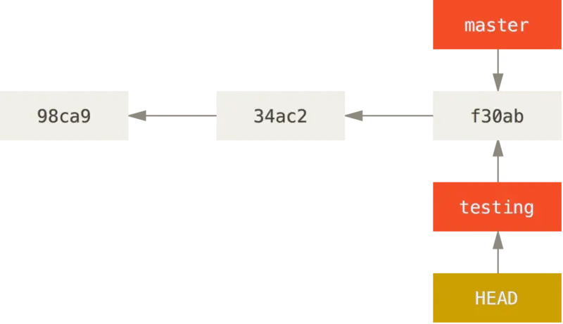 head punta alla branch testing