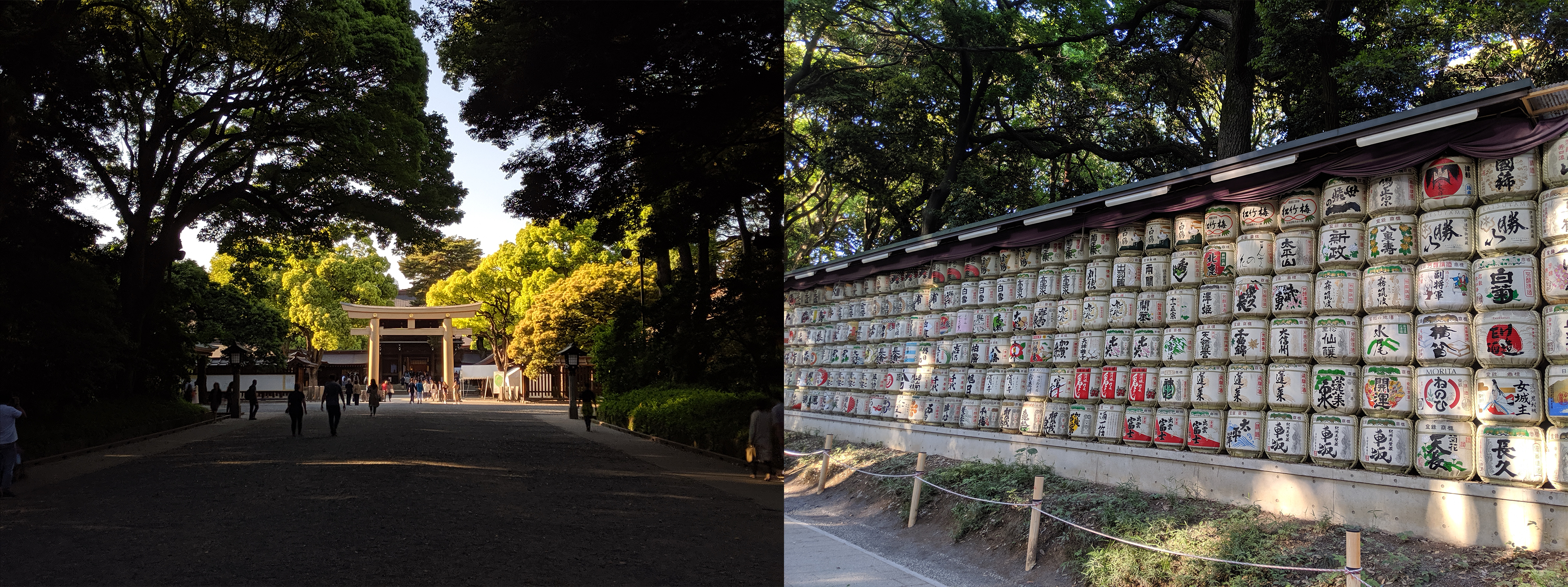 Meiji shrine.