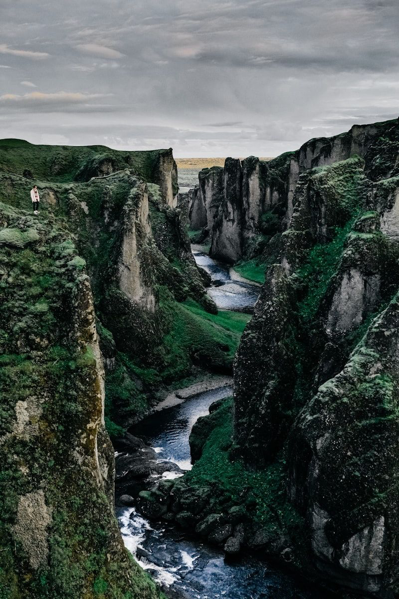 Regeneration, Food Systems & Volcanic Landscapes