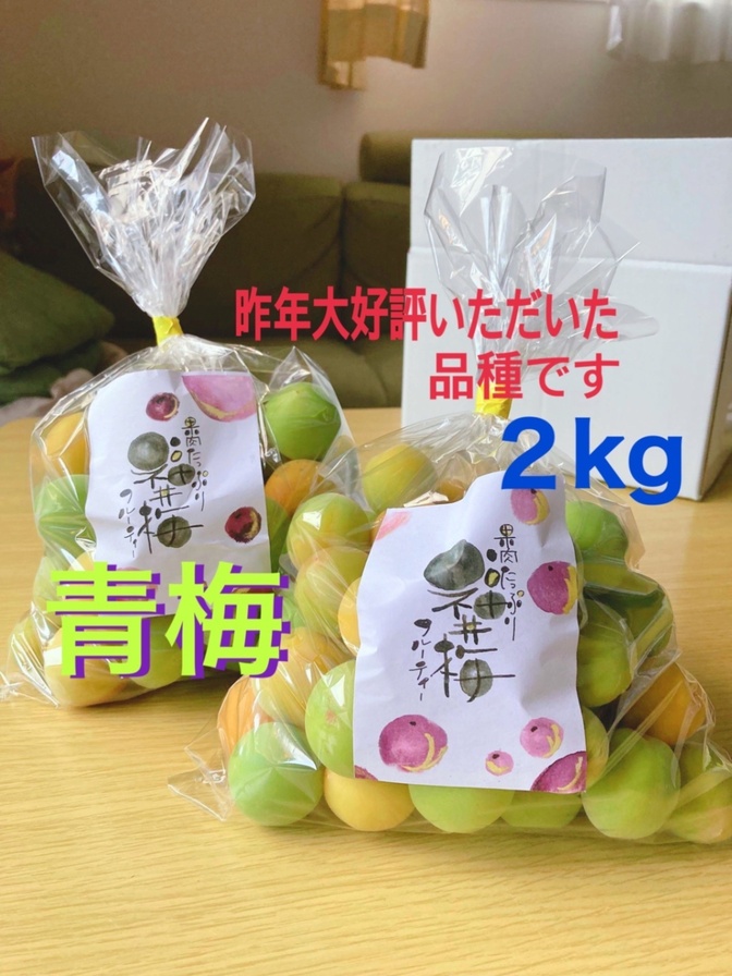 福井梅（青梅）2kg