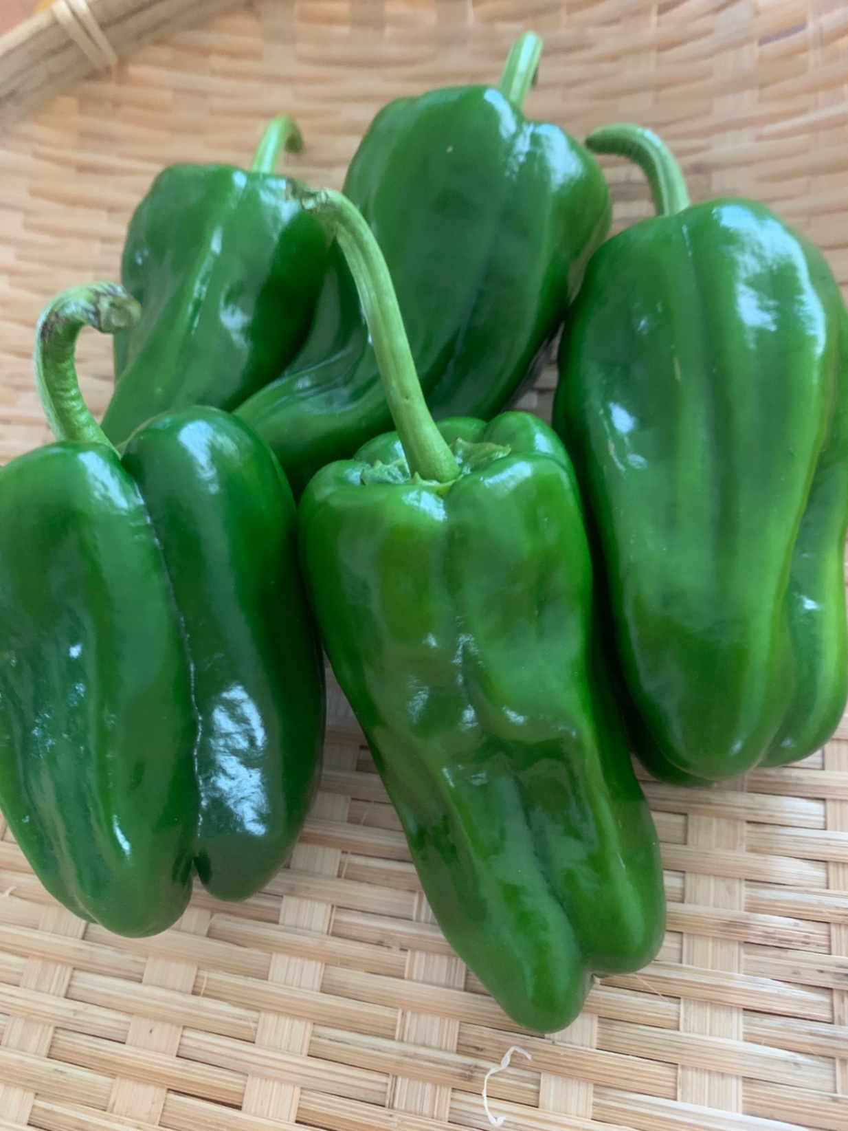 新鮮野菜セット（おひとり様BOX）
