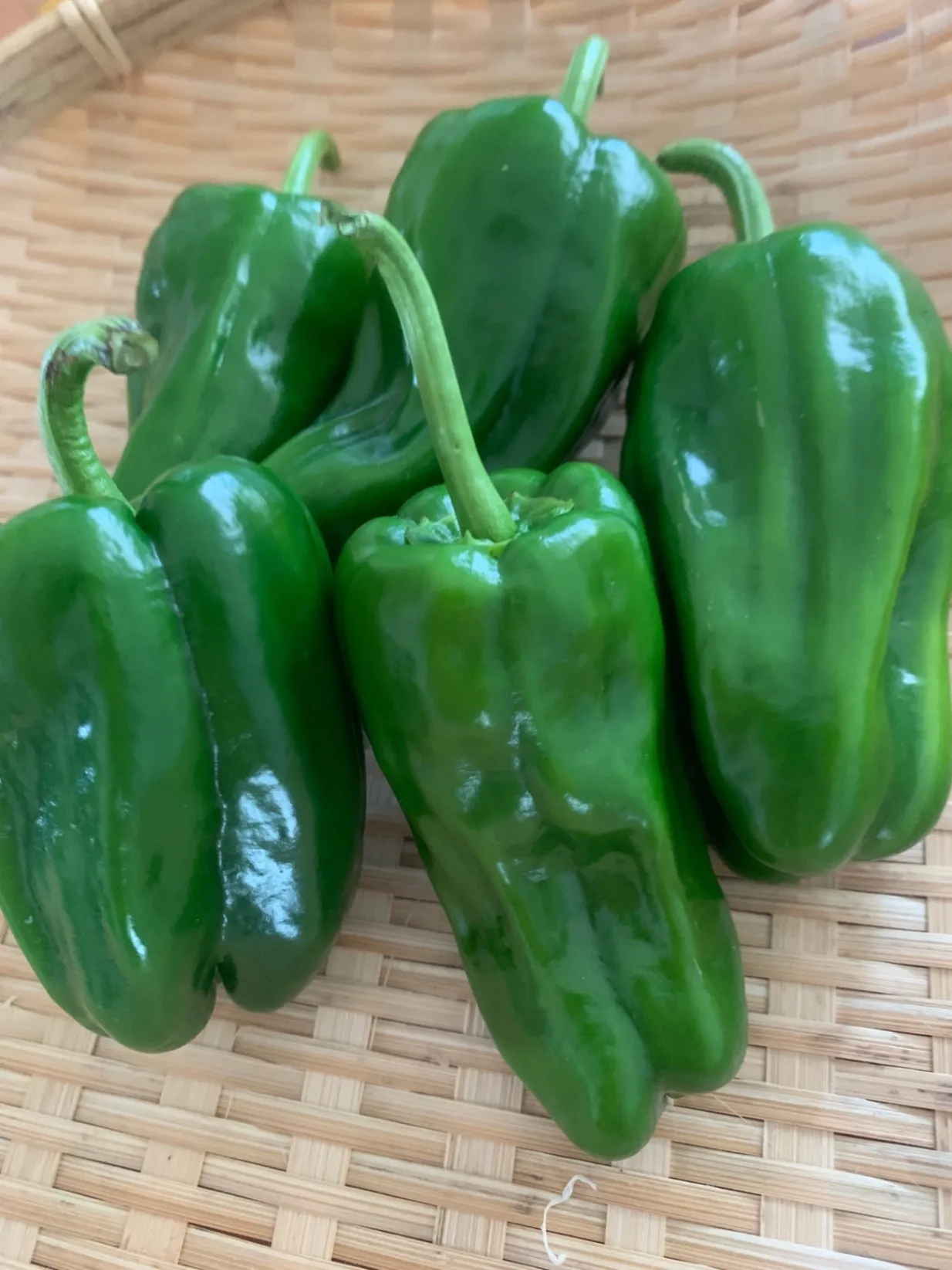 新鮮野菜セット（おひとり様BOX）