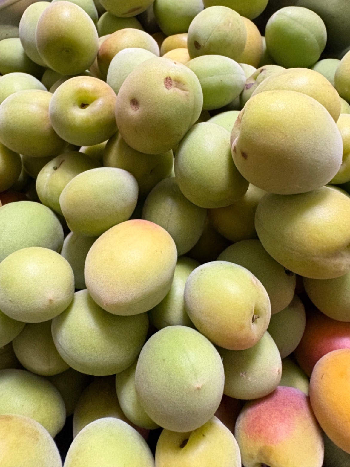 和歌山県産南高梅　2kg Sサイズ以下　小粒