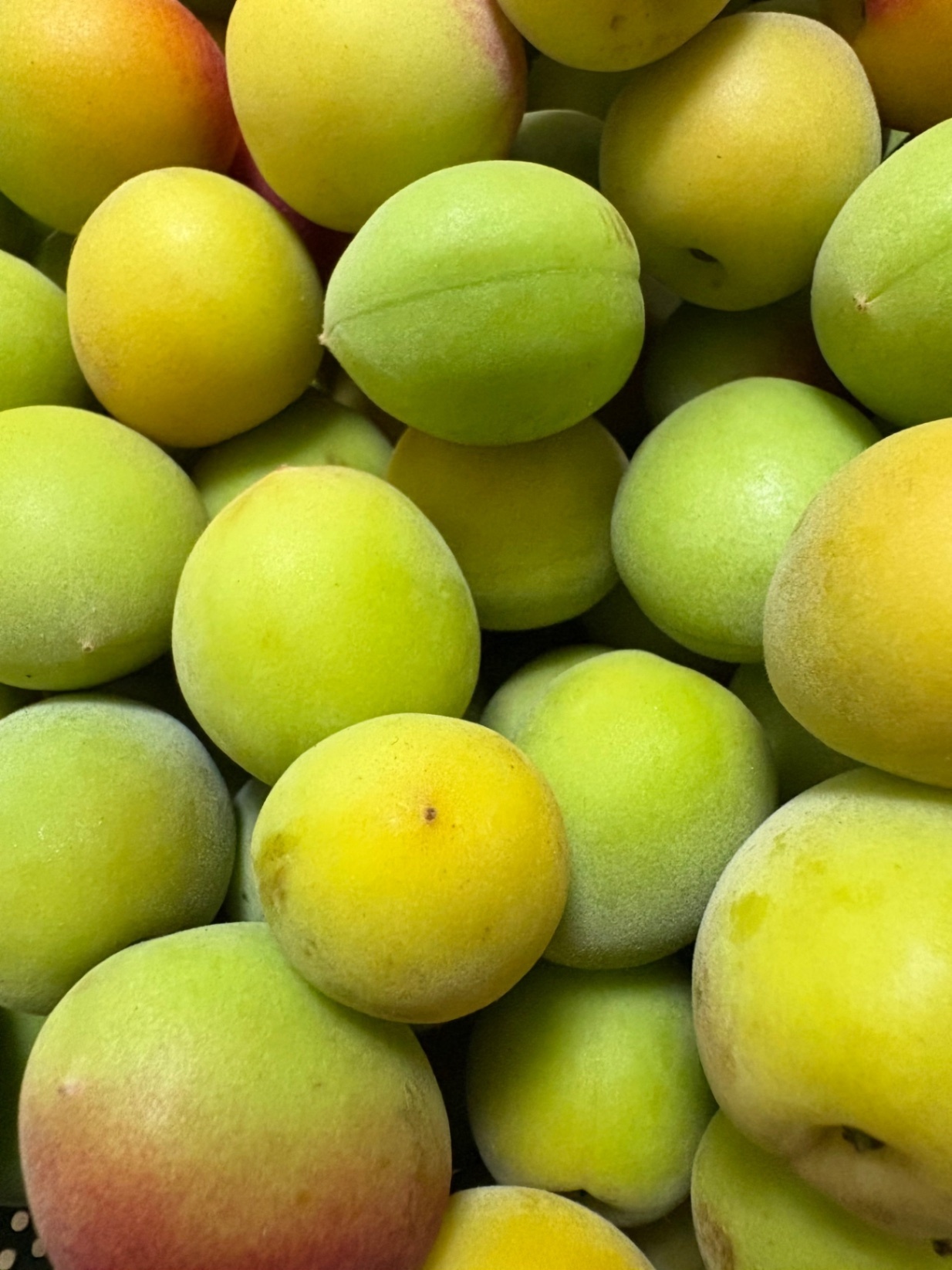 和歌山県産南高梅　2kg Sサイズ以下　小粒