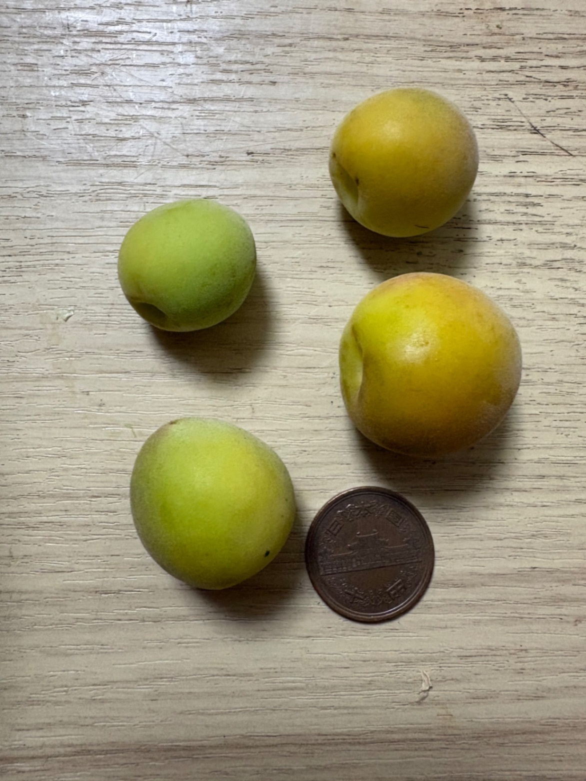 和歌山県産南高梅　2kg Sサイズ以下　小粒