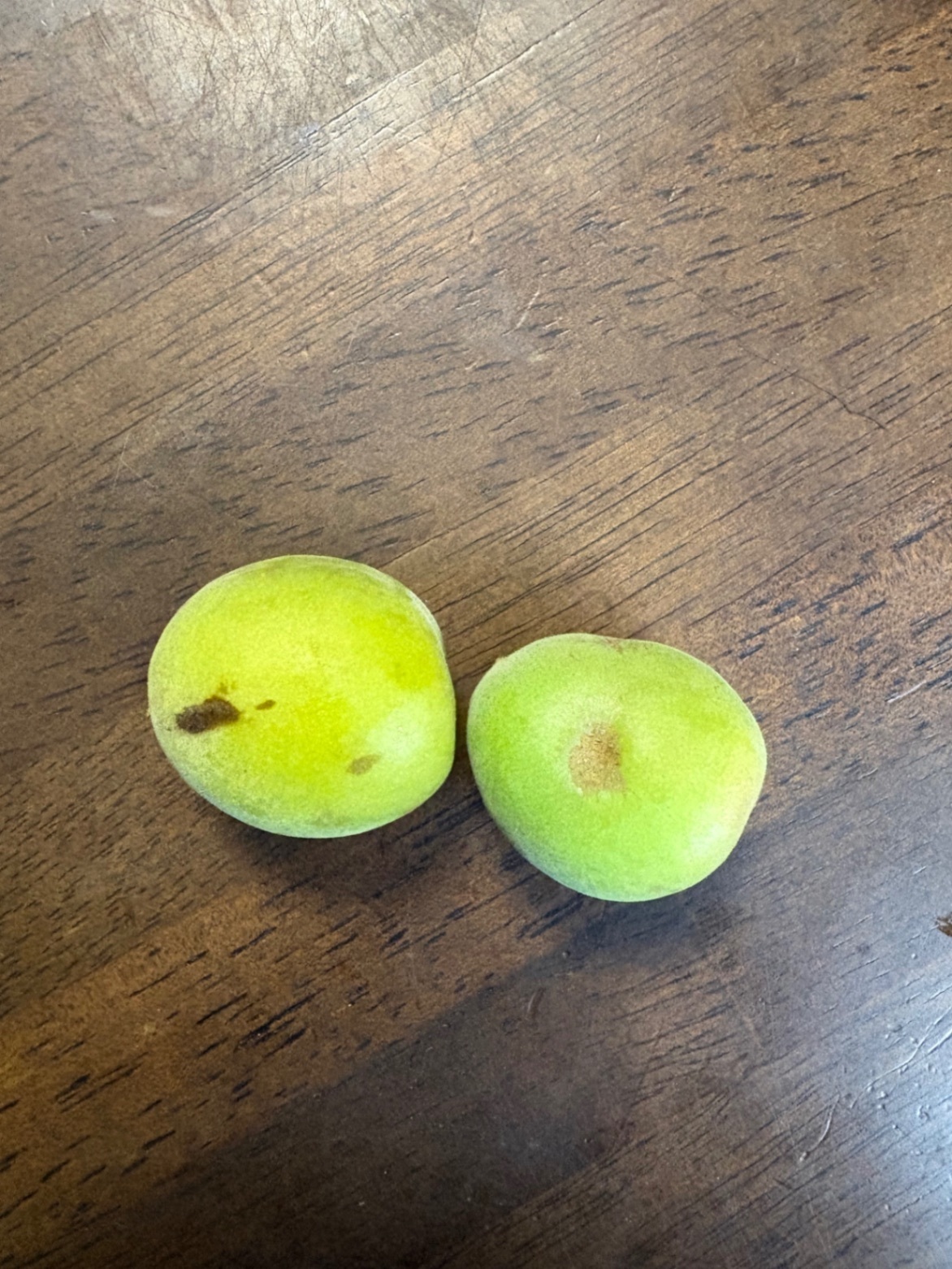 和歌山県産南高梅　2kg Sサイズ以下　小粒