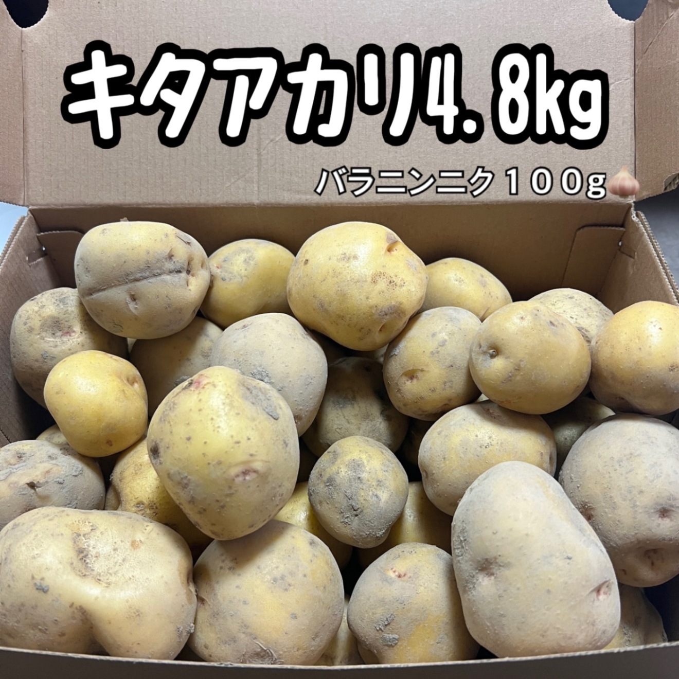 ホクホク甘い新じゃが🥔キタアカリ4.8kg＆香り抜群バラニンニク🧄100gセット