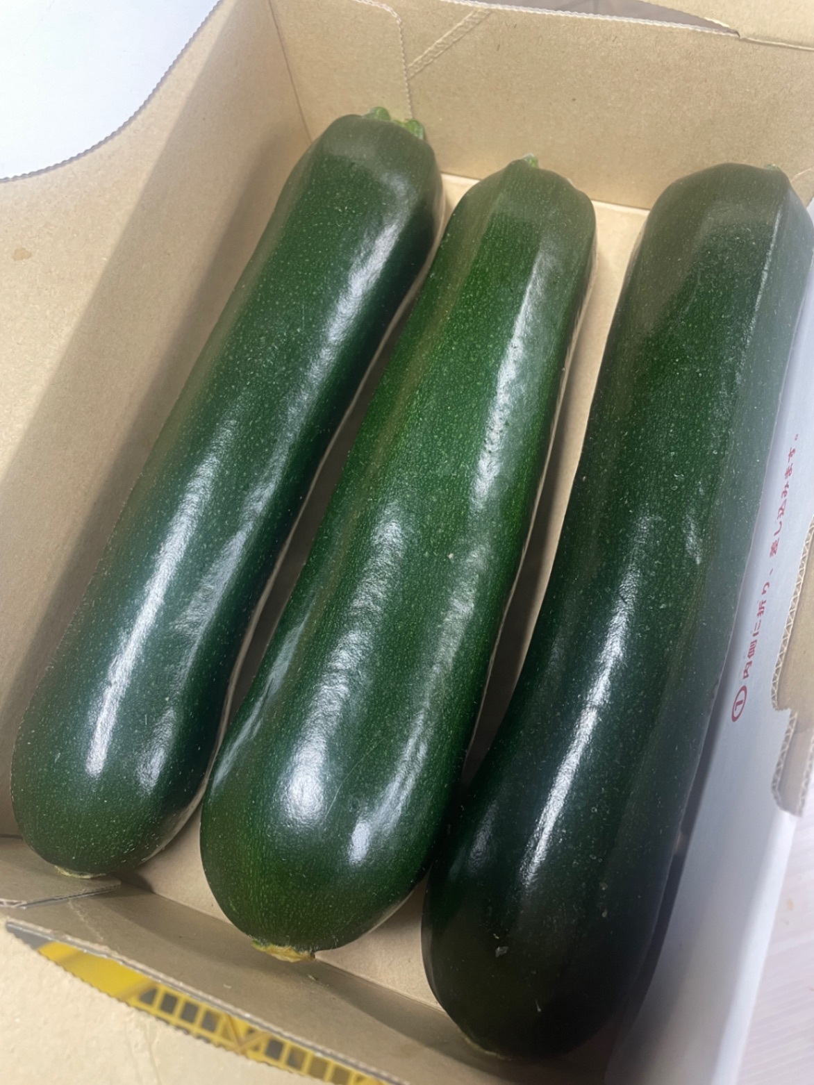 群馬県産ズッキーニ Lサイズ3本