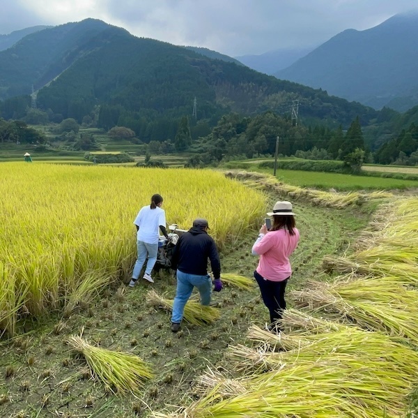 熊本県美里町産にこまる白米5kg×2【九州食味コンテスト3年連続優勝】産地直送・冷めても旨い極上米