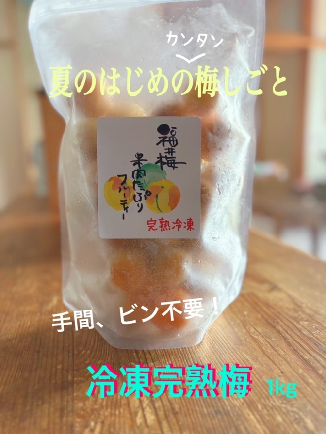 【冷凍完熟梅１kg 】手間ビン不要！好きな時に作れます🍏体にいい梅で暑い夏を乗り切る準備しませんか🌻