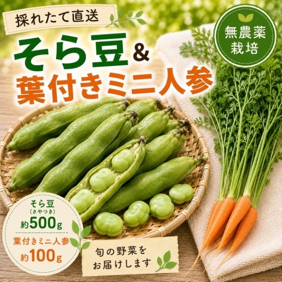 《無農薬》
そら豆　約500g
葉付きミニ人参　約100g
〜採れたてをクール便で直送〜