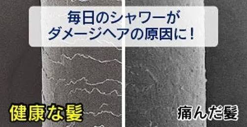 カクダイ 浄水シャワー ピュアラ ホワイト 357-900-W