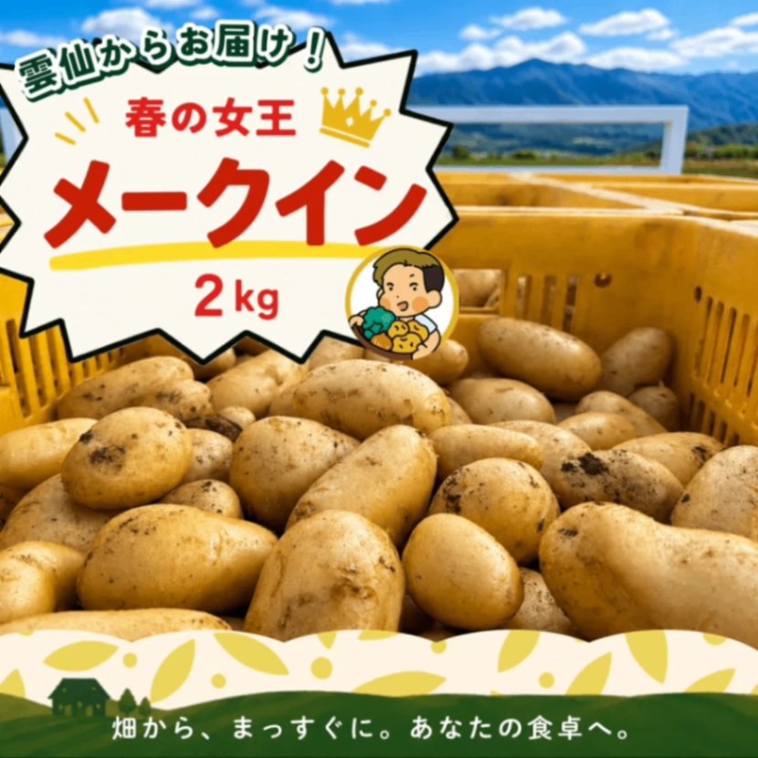 【5月20日予定】新じゃがいも長崎雲仙からお届け！メークイン2kg＋500gのおまけつき！