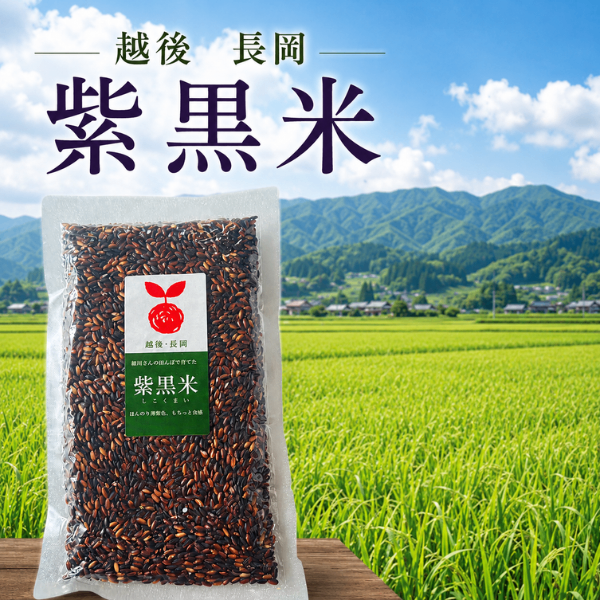 越後長岡 紫黒米 黒米 国産 雑穀米 新潟県産 古代米 アントシアニン 食物繊維 ポリフェノール