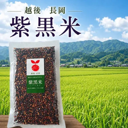越後長岡 紫黒米 黒米 国産 雑穀米 新潟県産 古代米 アントシアニン 食物繊維 ポリフェノール