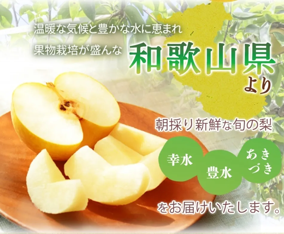 【お中元・夏ギフト】紀州有田産の種なし巨峰と梨セット計約2kg※2026年8月下旬頃～9月中旬頃発送
