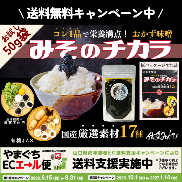 おかず味噌✨プレゼントやお試しに最適✨️【みそのチカラ】50ｇ 国産の厳選素材17種✨国内送料無料
