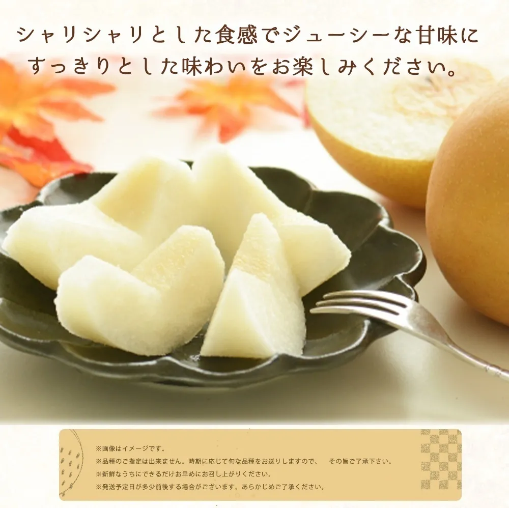 【お中元・夏ギフト】紀州和歌山有田産の梨約2kg化粧箱入※2026年8月下旬頃～9月中旬頃発送予定