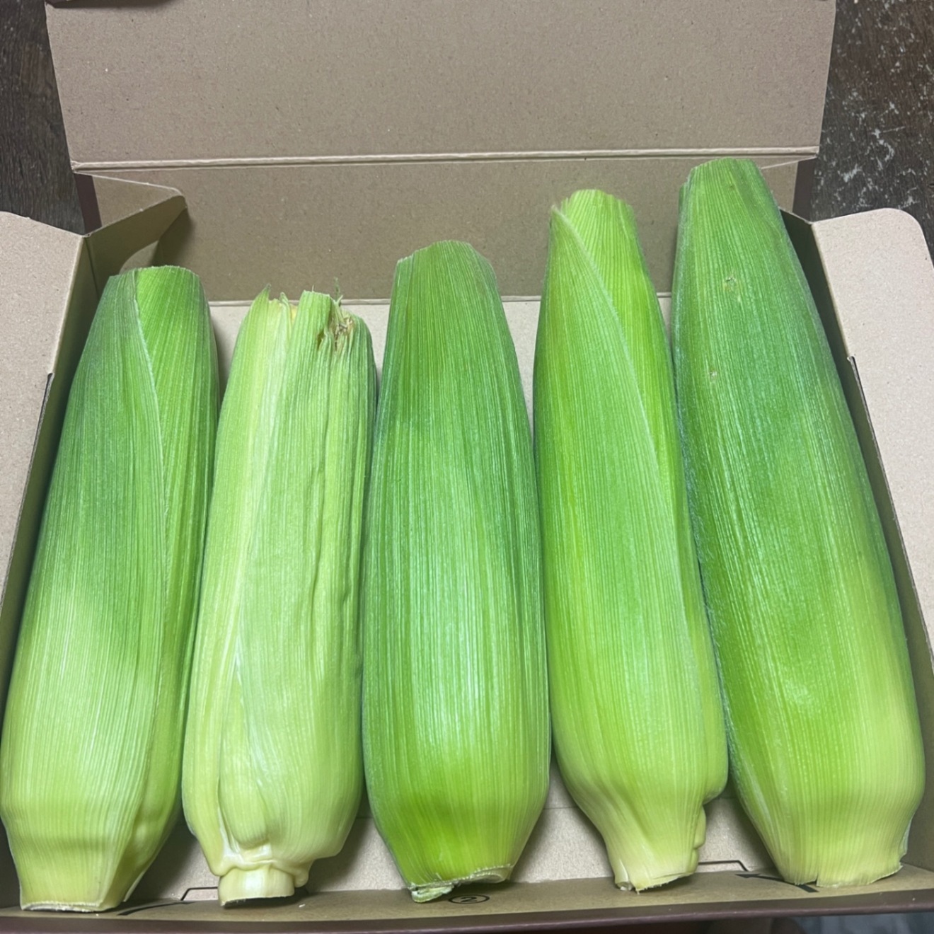 【朝採り当日発送】訳あり とうもろこし 🌽🌽🌽🌽🌽5本　特価　宅急便コンパクト