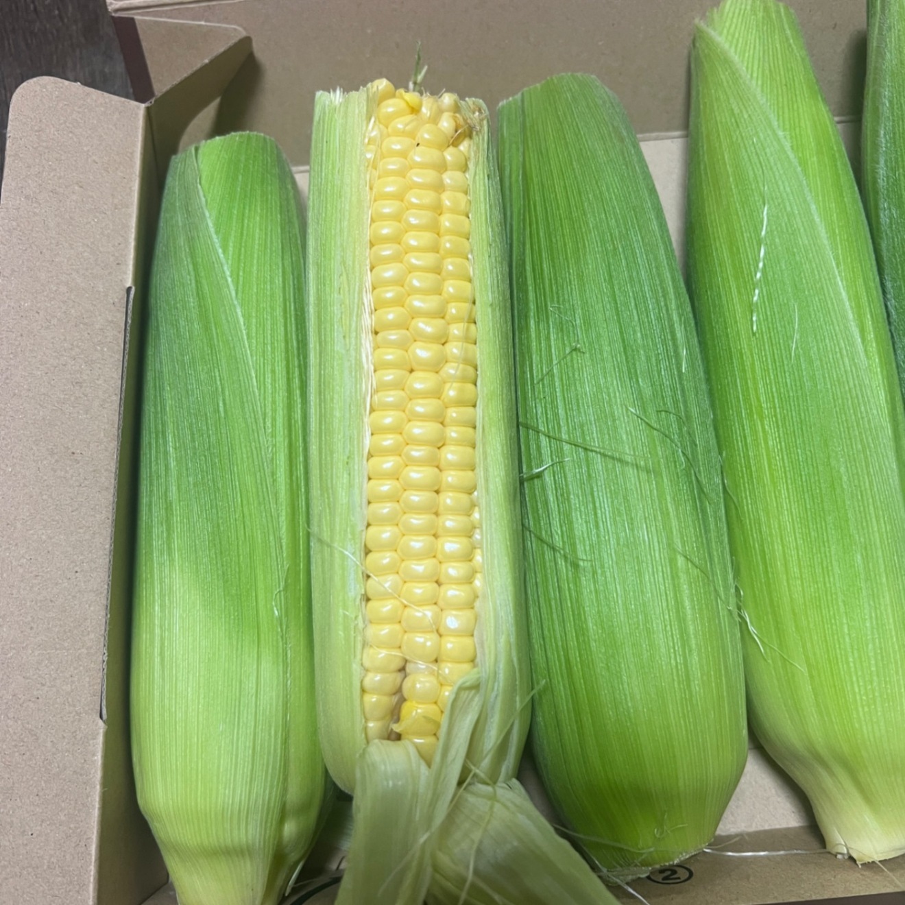 【朝採り当日発送】訳あり とうもろこし 🌽🌽🌽🌽🌽5本　特価　宅急便コンパクト