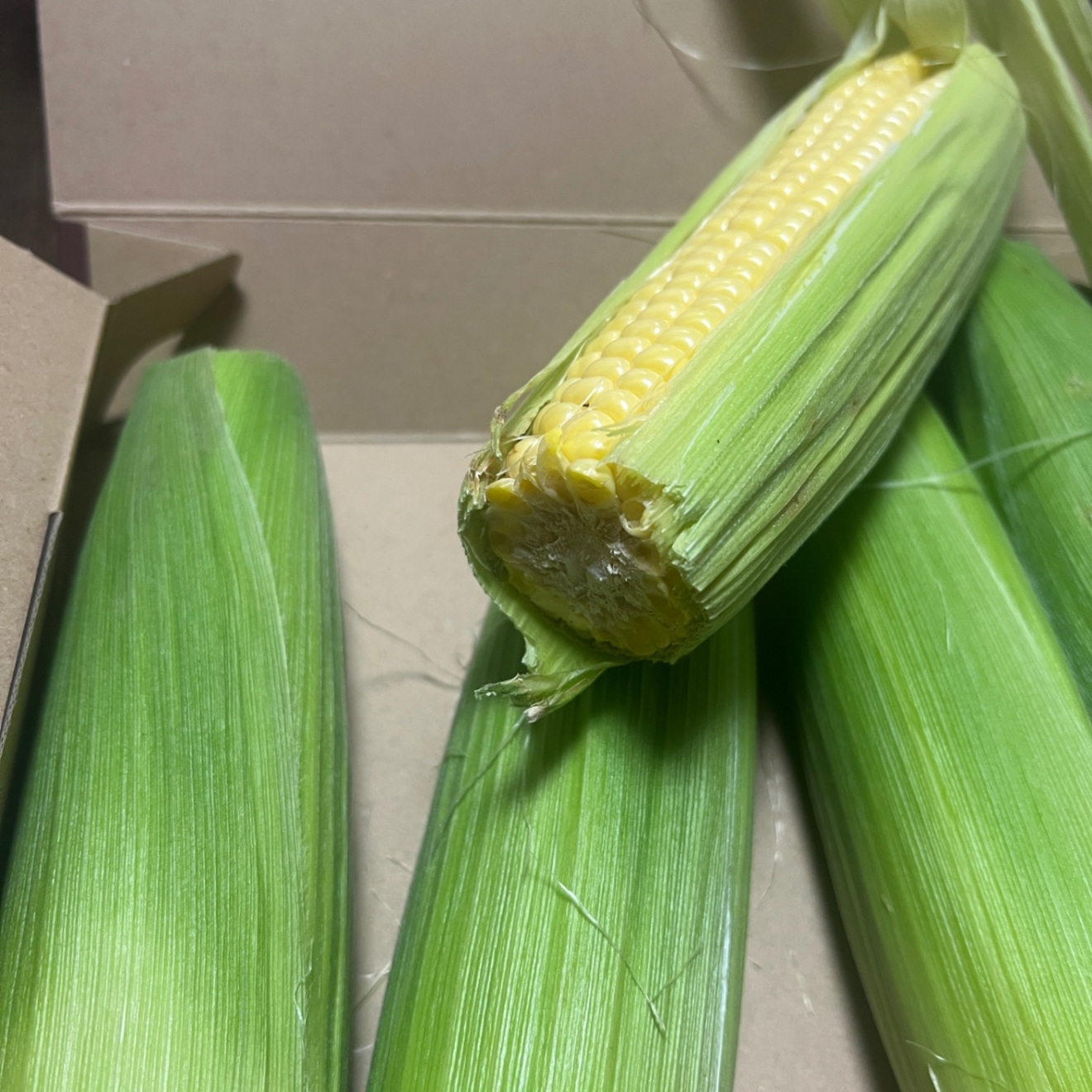 【朝採り当日発送】訳あり とうもろこし 🌽🌽🌽🌽🌽5本　特価　宅急便コンパクト