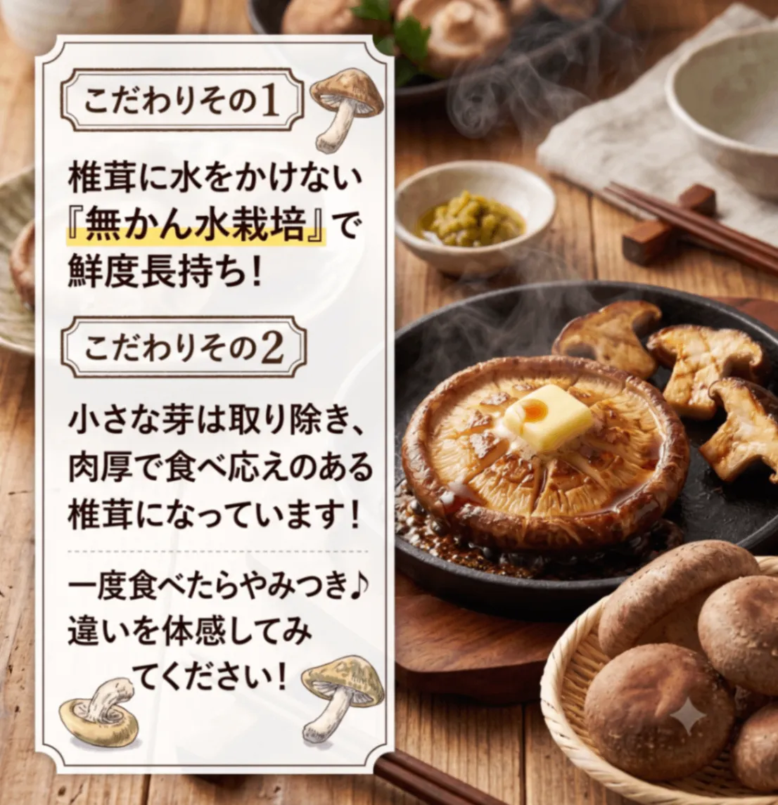 【秋の味覚】肉厚・生シイタケ　5０0g【特選】