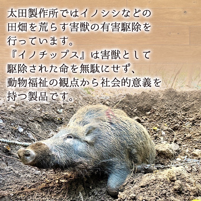 いまだけ２パック！
ペット用！いのししジャーキー（イノチップス）