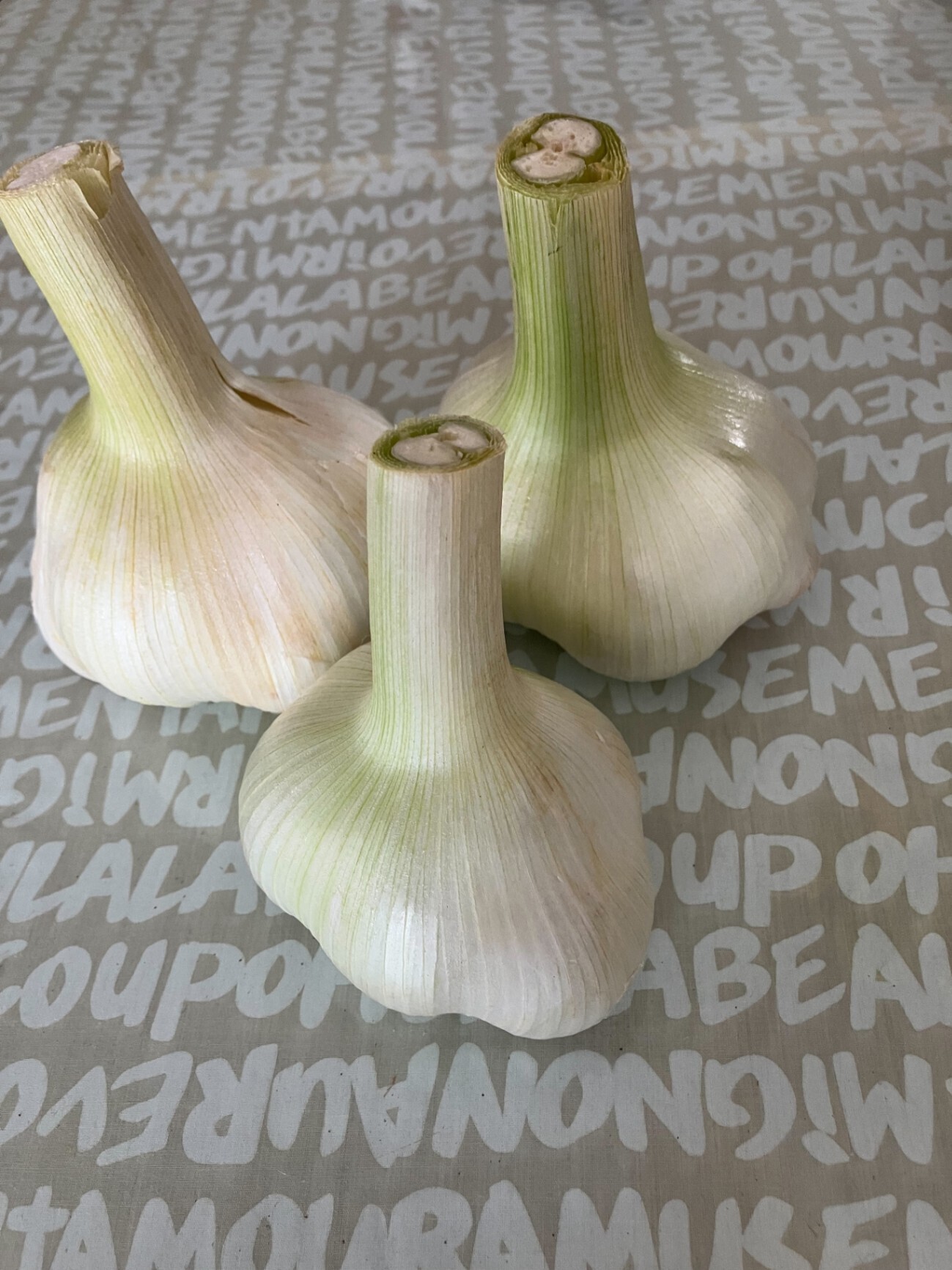 yumiファーム 朝採れ・新鮮 農家直送　特大にんにく
