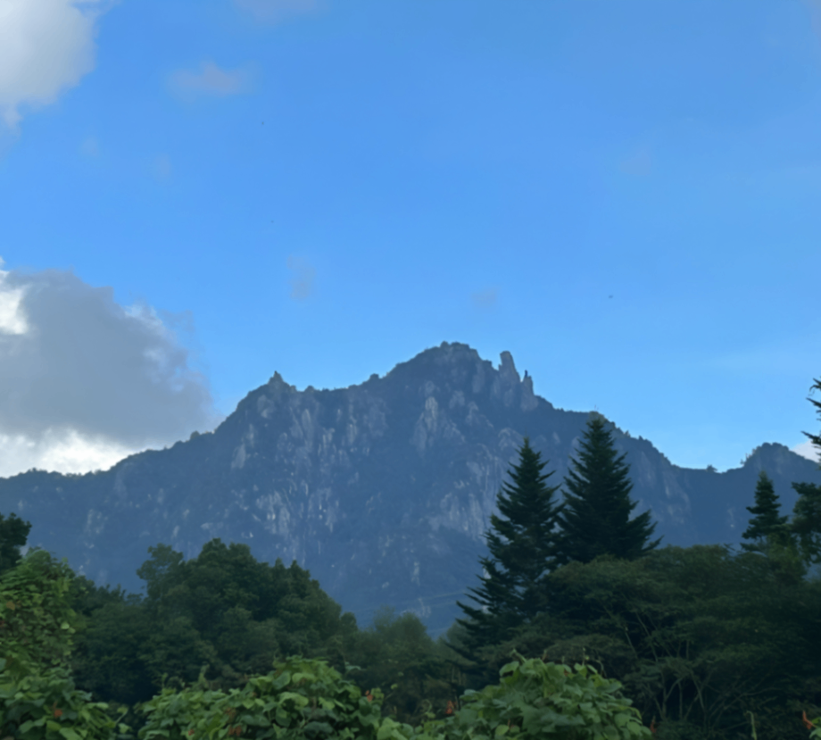 【ネパール】Mt.MIZUGAKI｜手織りウールラグ 45×50cm［山梨・瑞牆山］