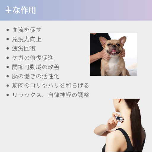 ペットもご家族もみんなで使える｜握るだけで細胞から整う話題のマッサージアイテム「ネオヒーラーテック」