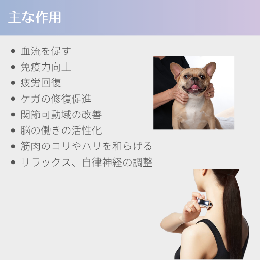 【開店記念・1点限り】ネオヒーラーテック＋専用ケースセット｜握るだけで細胞から整うマッサージアイテム
