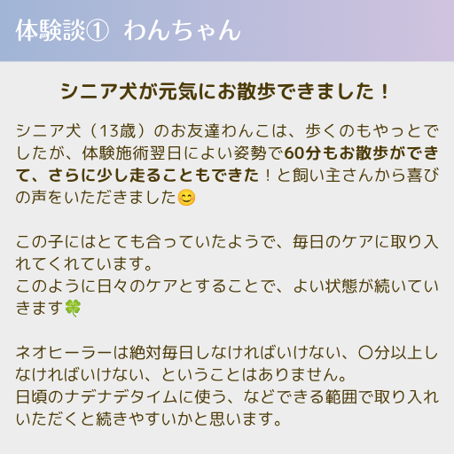 【開店記念・1点限り】ネオヒーラーテック＋専用ケースセット｜握るだけで細胞から整うマッサージアイテム