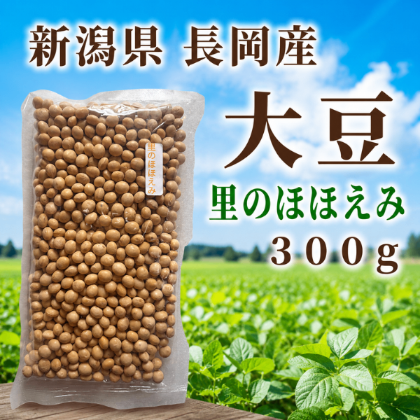 新潟県長岡産 里のほほえみ 大豆 300g 国産大粒大豆 イソフラボン 